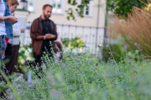 «Выходные на Никитской». Экскурсия «Наши незаметные соседи: микропутешествие по приусадебному саду»