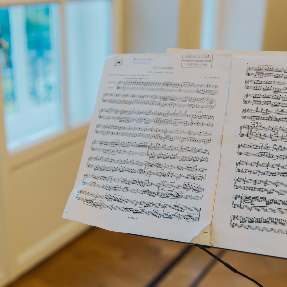 «Диалоги» скрипки и виолончели в усадьбе Долгоруковых-Бобринских