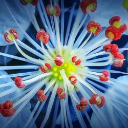 Галина Васильева. «Аллергия: примириться или лечить?»