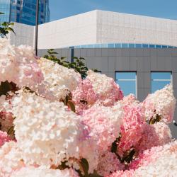 Я – не ребенок. Формула отдыха