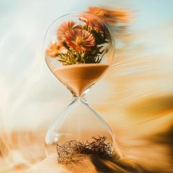 Андрей Подзолков. Чего хотят женщины?