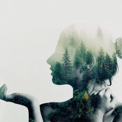 Поэтический вечер. Женское лицо поэзии