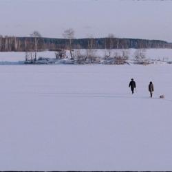 Овсянки. «Свет. Камера»