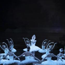 Лебединое озеро. Ключ к спектаклю