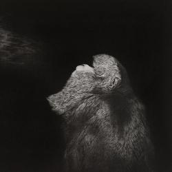 Blackout. Экскурсия от Константина Колобова