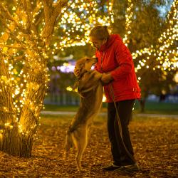 Дом без стен: как помочь бездомным людям и животным
