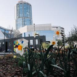 Манро Чужеголовый