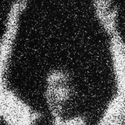 Встреча с художником Максимом Ивановым