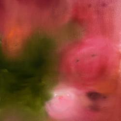 НИИ Созерцания