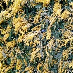 Клуб «Мои 90-е»: 8 Марта до и после 90-х