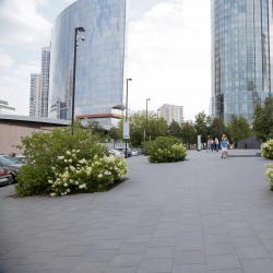 Озеленение улиц и организация поверхностного водоотвода