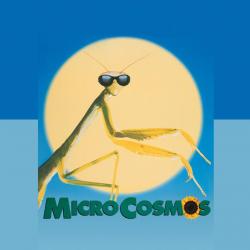 «Микрокосмос». Представляет Ася Казанцева
