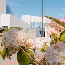 Я – не ребенок. Место действия