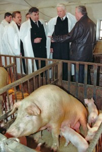 Борис Ельцин и Александр Заверюха в колхозе в Белгородской области