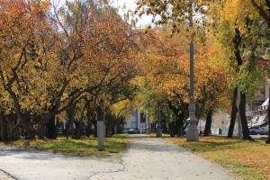 Экскурсия «Свердловск и Ельцин. Легенды, мифы и история»