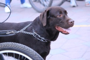 Музыкальная ночь в Екатеринбурге