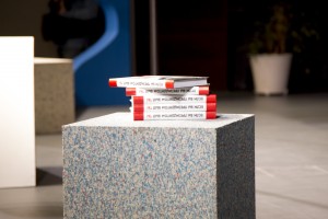 Вторая сессия Народного университета российского конституционализма