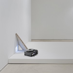 Берлинский случай