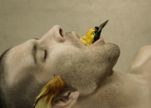 Работа Жульена Сало