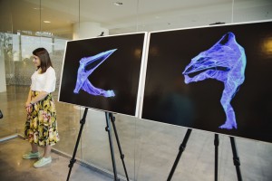 Выставка Жульена Сало «Звездные Арахнеи»