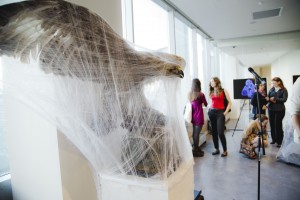 Выставка Жульена Сало «Звездные Арахнеи» 