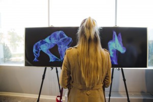 Выставка Жульена Сало «Звездные Арахнеи»