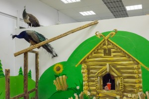 Фотокросс. Команда «Лютики». Тема: «Отношение»