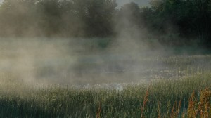 Кадр из фильма «Сфера колдовства»