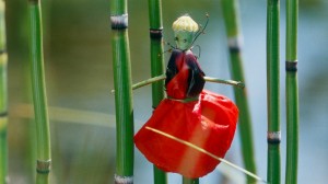 Кадр из фильма «Сфера колдовства»