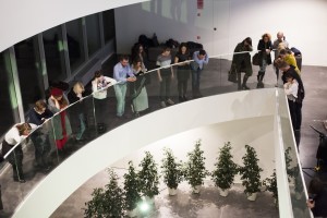 перформанс «Спокойной ночи, малыши! Взгляд сверху»