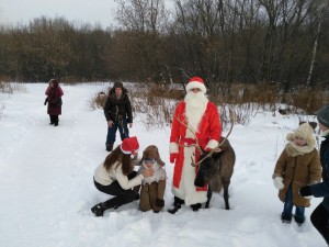 елки шарики иголки новый год санта олень