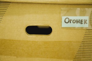 Архив-библиотека