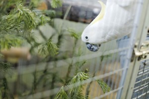 Ельцин Центр в зоопарке