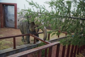 Ельцин Центр в зоопарке