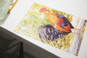 Мастер-класс Елены Подкорытовой