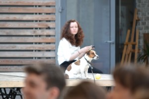 «Независимые Книжные и Издатели». Форум второй