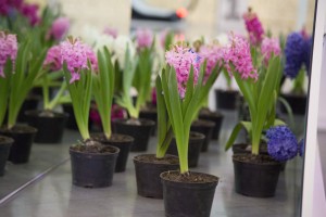 8 марта в Ельцин Центре