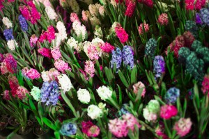 8 марта в Ельцин Центре