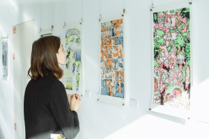 Финская программа «Suomi 100»