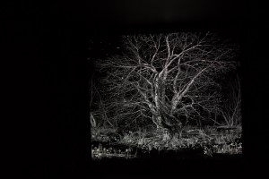 Финская программа «Suomi 100»