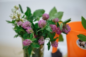 Мастер-класс по икебане