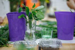 Мастер-класс по икебане