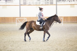 Соревнования по конкуру на Кубок Ельцина