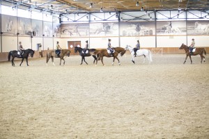 Соревнования по конкуру на Кубок Ельцина