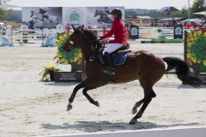 Соревнования по конкуру на Кубок Ельцина