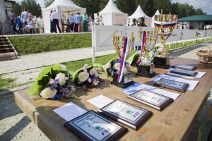 Соревнования по конкуру на Кубок Ельцина