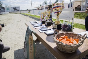 Соревнования по конкуру на Кубок Ельцина