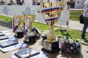 Соревнования по конкуру на Кубок Ельцина