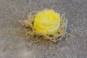 Сувенирная продукция «Антон тут рядом»