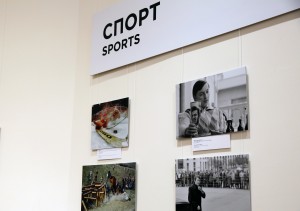 «Параллельные миры» Дмитрия Донского 